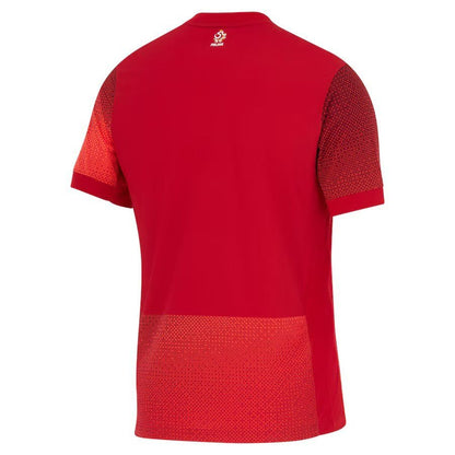 Maillot Pologne Extérieur 24/25